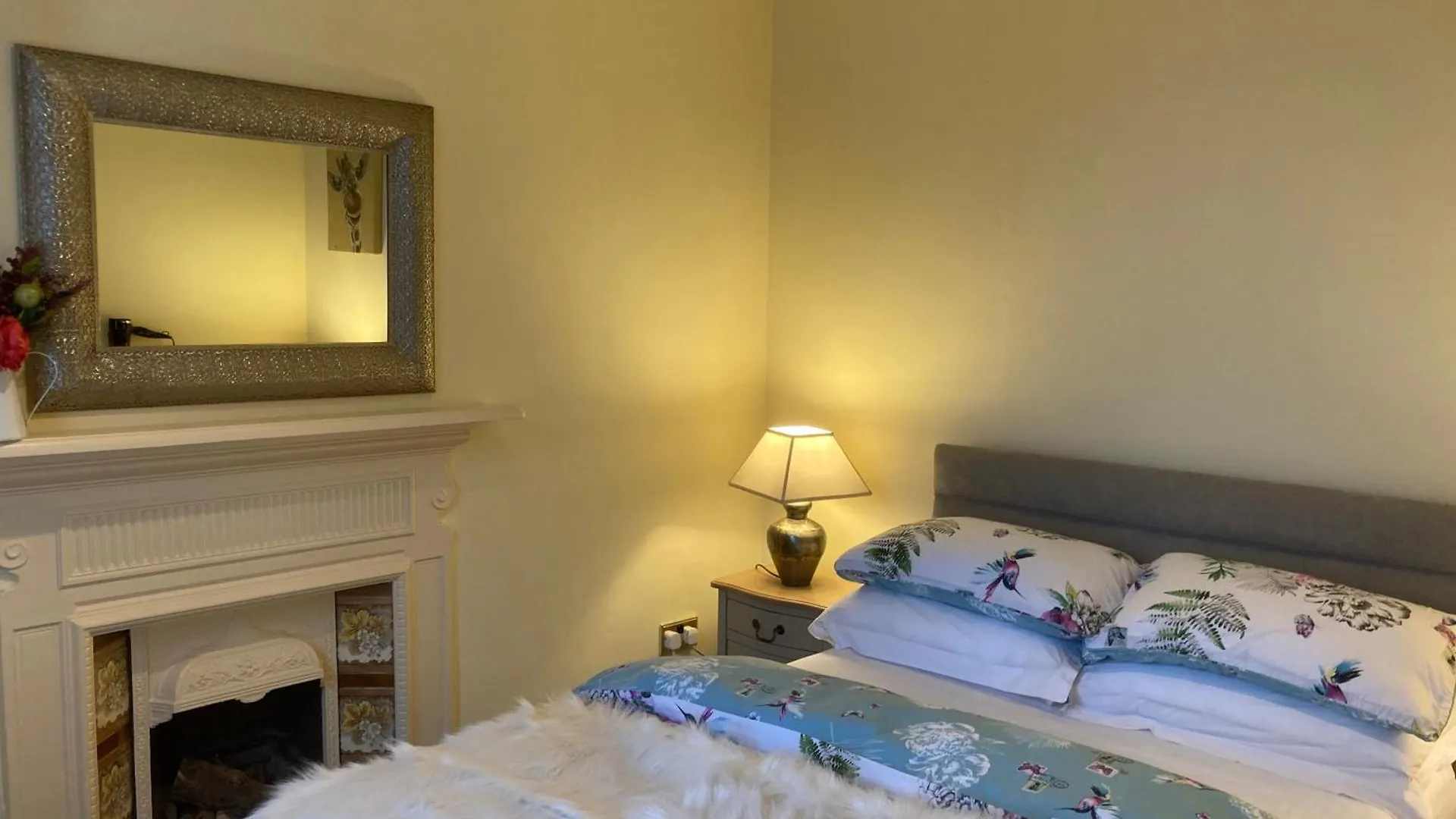 Mount Royal Victorian Apartments Self Catering Belfast