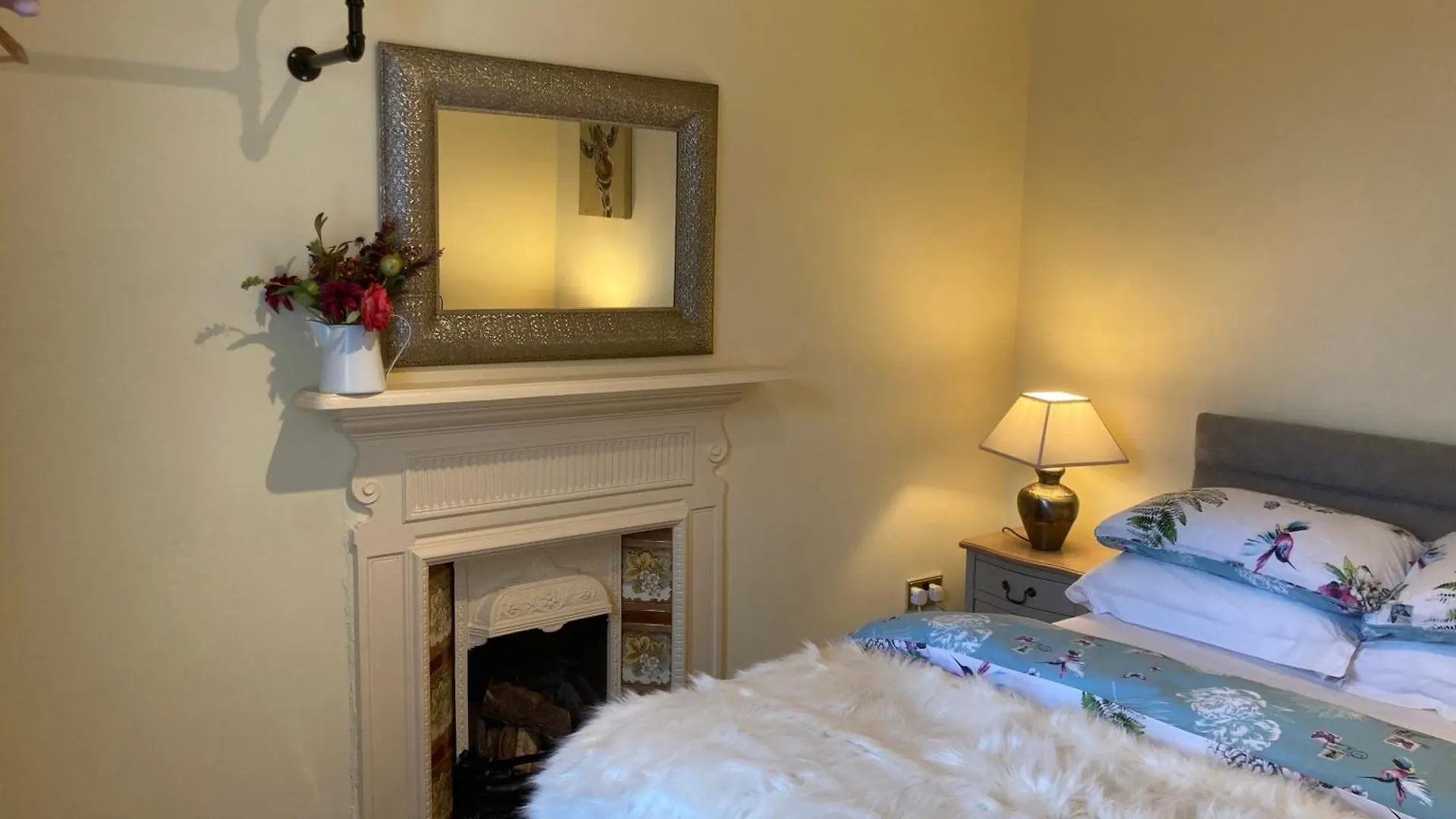 Mount Royal Victorian Apartments Self Catering Belfast