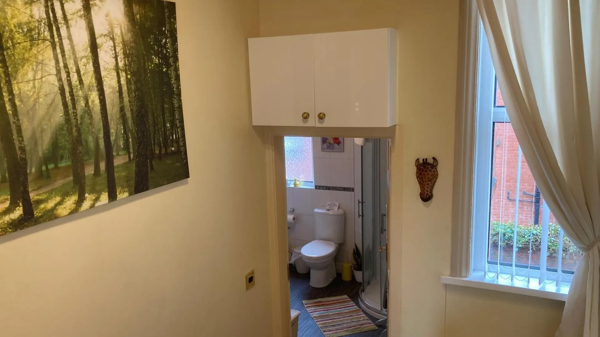 Mount Royal Victorian Apartments Self Catering Belfast United Kingdom