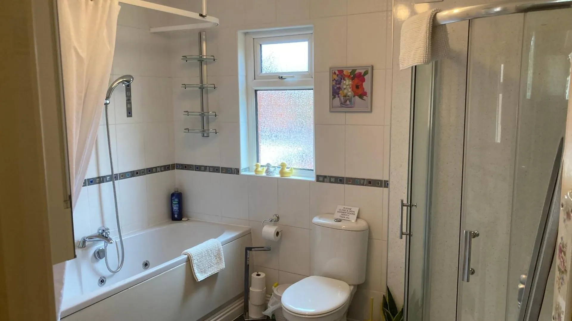 Mount Royal Victorian Apartments Self Catering Belfast