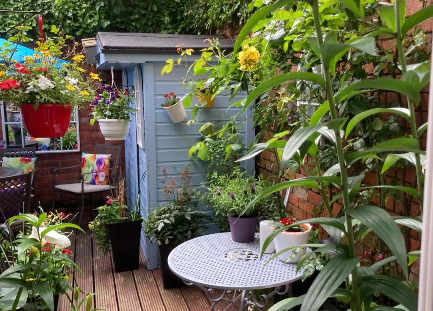 Mount Royal Victorian Apartments Self Catering Belfast