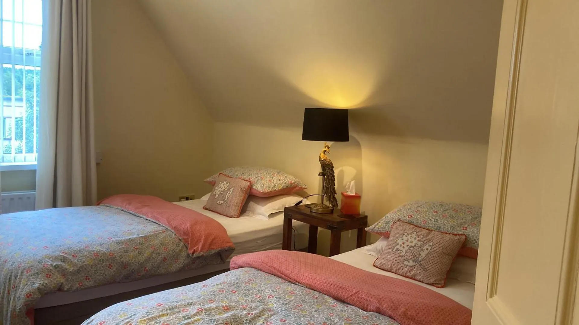 Mount Royal Victorian Apartments Self Catering Belfast