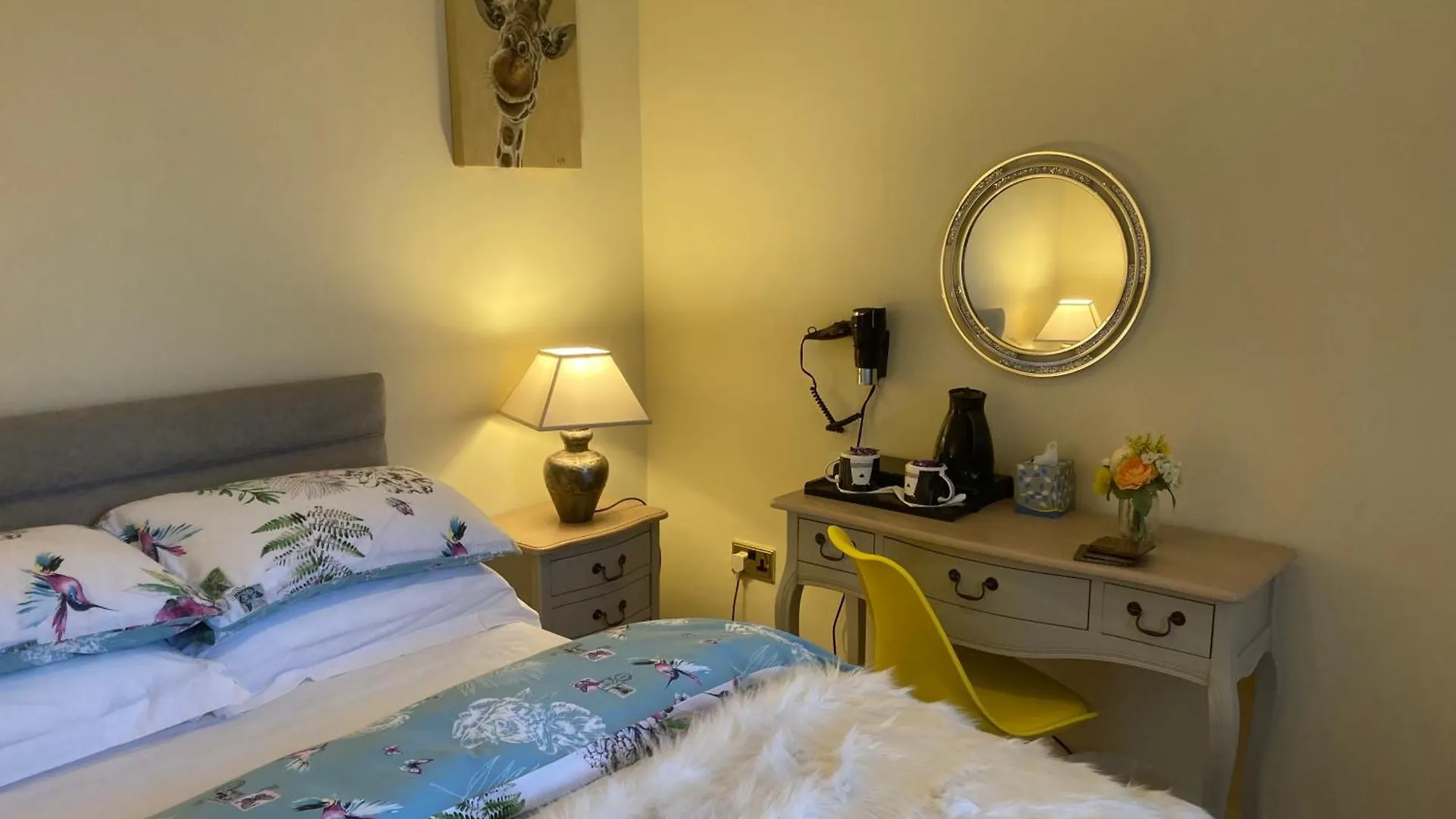 Mount Royal Victorian Apartments Self Catering Belfast 0*,
