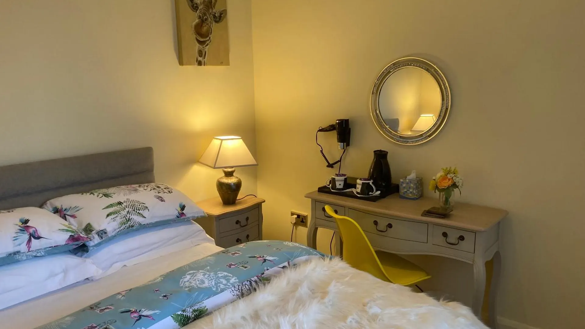 Mount Royal Victorian Apartments Self Catering Belfast