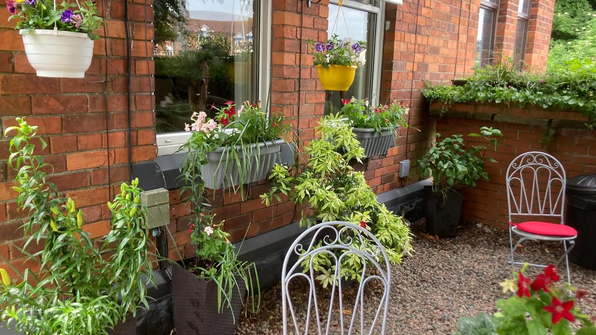 Mount Royal Victorian Apartments Self Catering Belfast